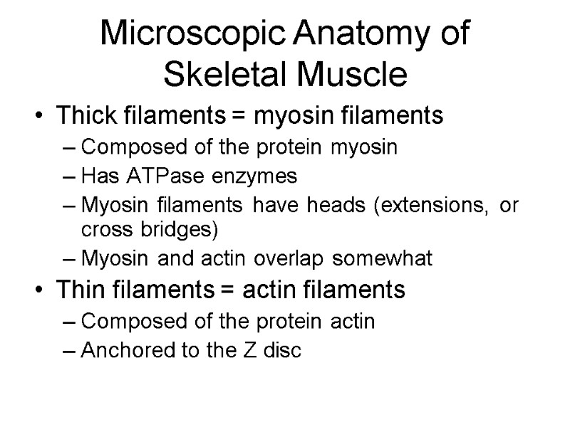Microscopic Anatomy of Skeletal Muscle Thick filaments = myosin filaments Composed of the protein